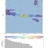 M6.9 earthquake/aftershock in Lombok, Indonesia - at least another 10 fatalities  - August 19, 2018